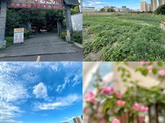 -凤来栖·净庭院·火锅(欧尚店)