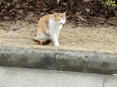 -江南大学(蠡湖校区)