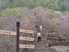 -天台山赤城山景区