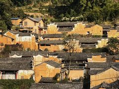 -杨家堂村