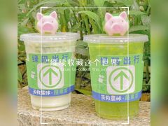 -茶救星球·蔬果茶(福田水围店)