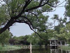 -北陵公园