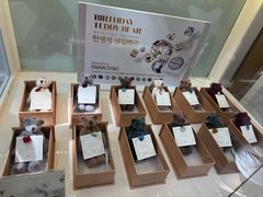 -济州岛泰迪熊博物馆