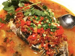 -坛宗剁椒鱼头(河西王府井店)