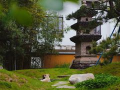 -龙华寺
