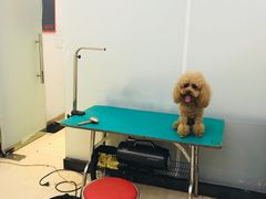 -创凡宠物医院·骨专科  猫科中心(西乡分院)