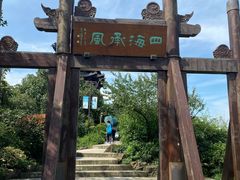 -杭州半山国家森林公园