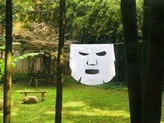 -胶囊画廊