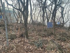 -南京老山国家森林公园