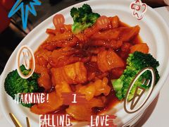 花胶鸡锅-粤食堂(天津和悦汇店)