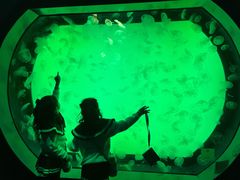 -沈阳海洋探索中心