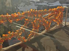 -裕龙汤泉