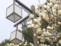-北京市劳动人民文化宫(太庙)