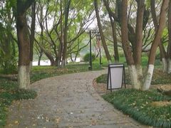 -江心屿景区