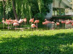 -石家庄市动物园