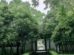 -上海佘山国家森林公园天马山园