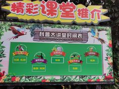 -广州长隆飞鸟乐园