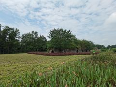 -桤木河湿地公园