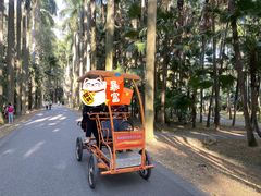 -华南国家植物园-售票处