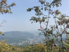 -香山公园