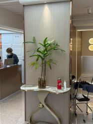 -杜卡诗salon