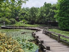 -杭州西湖丝绸文化博物馆