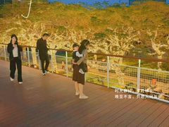 -三妹小龙虾·黄油蟹(华侨城总店)