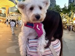 -上海K11购物艺术中心