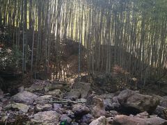 -四明山国家森林公园