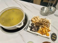 -蘑统田下·野生菌火锅