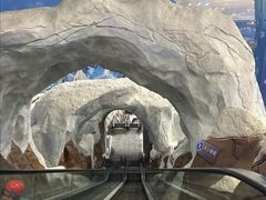 -长沙湘江欢乐雪域