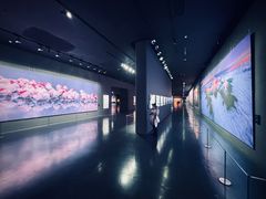 -罗红摄影艺术馆