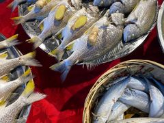 -车头老二大排档(金城步行街店)