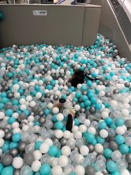 -MINI MARS KIDS CLUB亲子家庭中心(长宁天山店)