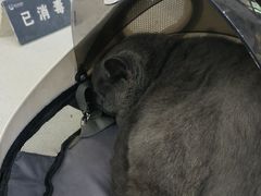 -联合动物医院(光谷诊疗中心)
