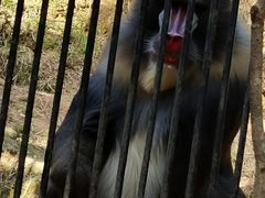 -福州动物园
