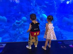 -成都浩海立方海洋公园