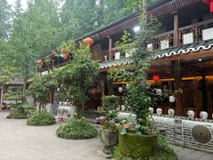 -青城甲(青城山店)