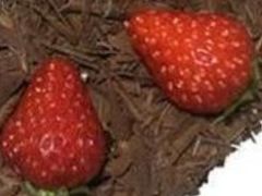 -精点味道(西安路店)