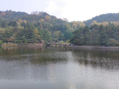 -庐山风景区花径公园