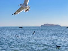 -银沙滩浴场