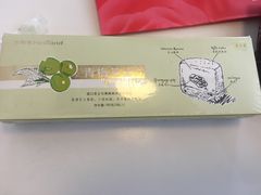 -蒲公英(五里店)