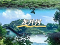 -龙井村