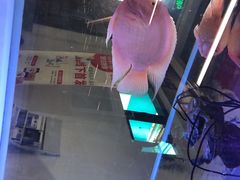 -米卢宠物公园(广华居店)
