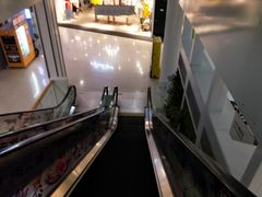-慕斯荟