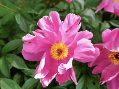 -江苏三台山国家森林公园