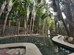 -罗浮山嘉宝田森林温泉度假酒店