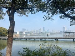 -月湖风景区
