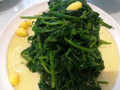 清炒菜心-西安高新洲际酒店•彩丰楼中餐厅