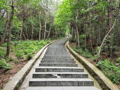 -冶父山国家森林公园
